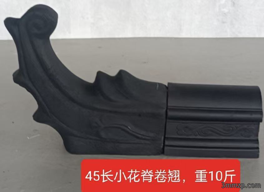 小花脊卷翘